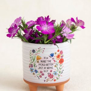 Handcrafted Mini Planter – Boho Home Decor, Unique Succulent Gift