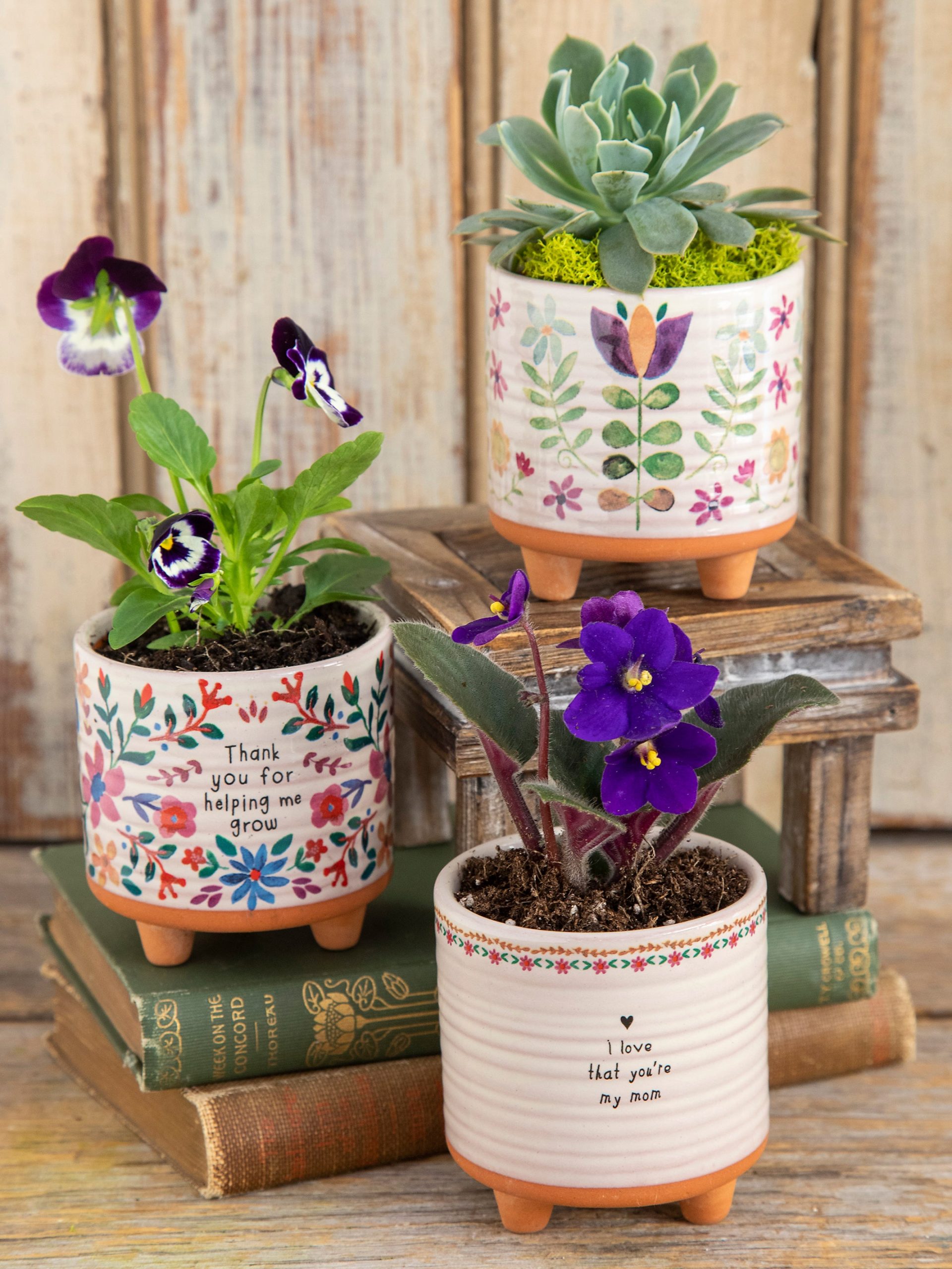 Mini Artisan Planter - Thank You - Image 4